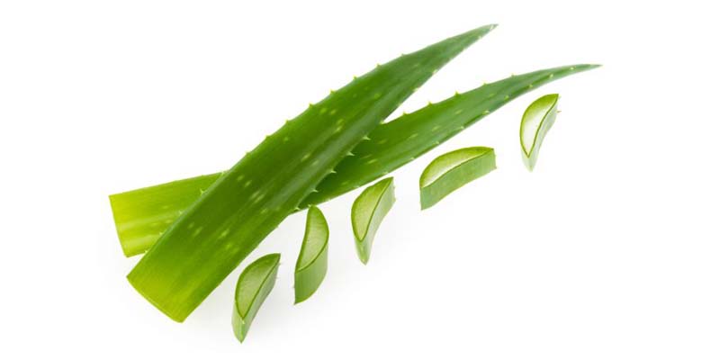 Aloe vera